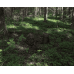 SAVOTTA 3D  Scrim Camouflage Kit