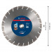 Bosch EXPERT Multi Material Diamond Cutting Disc 300 x 22.23 x 2.8 x 15mm
